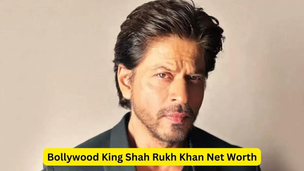 Bollywood King Shah Rukh Khan Net Worth